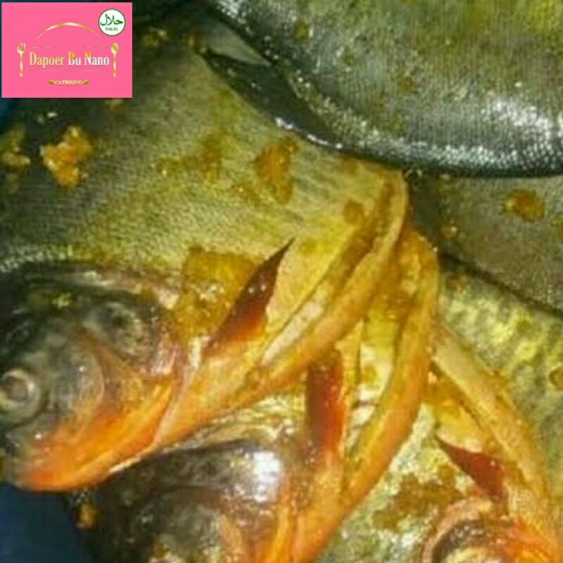 

Ikan Bawal Bumbu Kuning Marinasi Isi 4 Ekor Siap Goreng/Bakar.