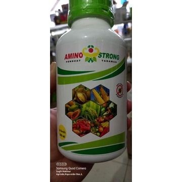AMINO STRONG 500ml