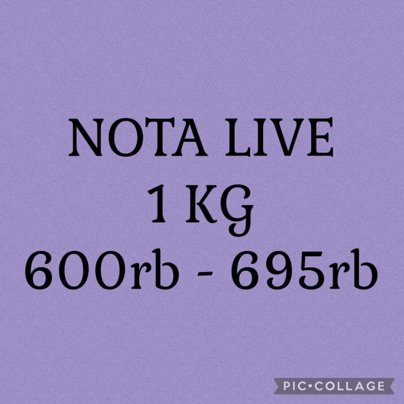 

LINK NOTA LIVE 1KG 600+