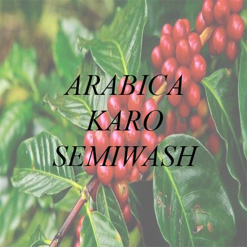 

[Green Bean] Arabika Karo Semiwash
