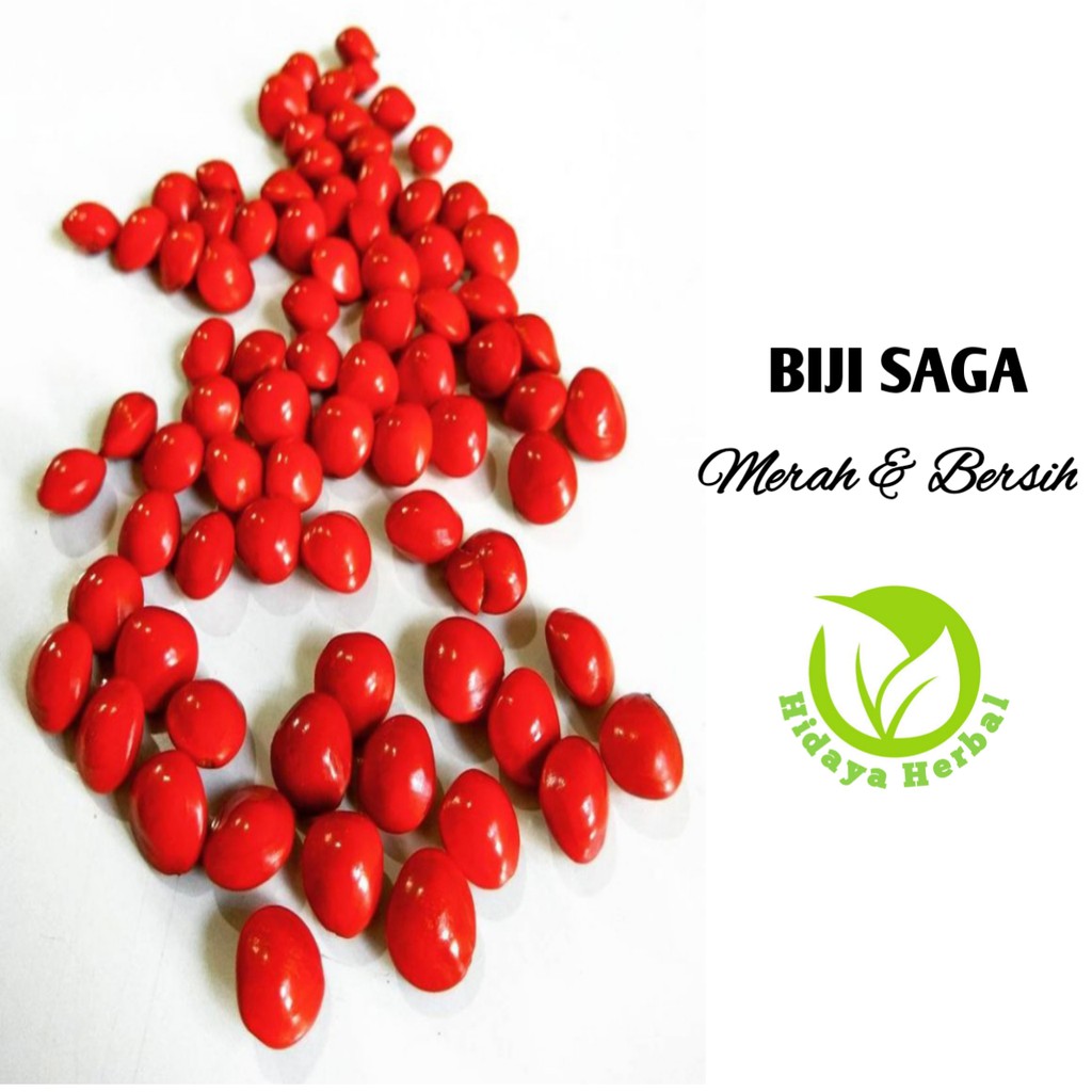 

Biji Saga Merah Bersih Sudah Di Sortir 1kg