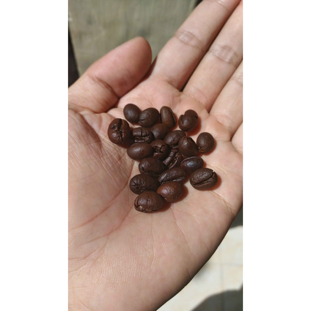 

Kopi Lanang Robusta Peaberry Sangrai 1 Kg