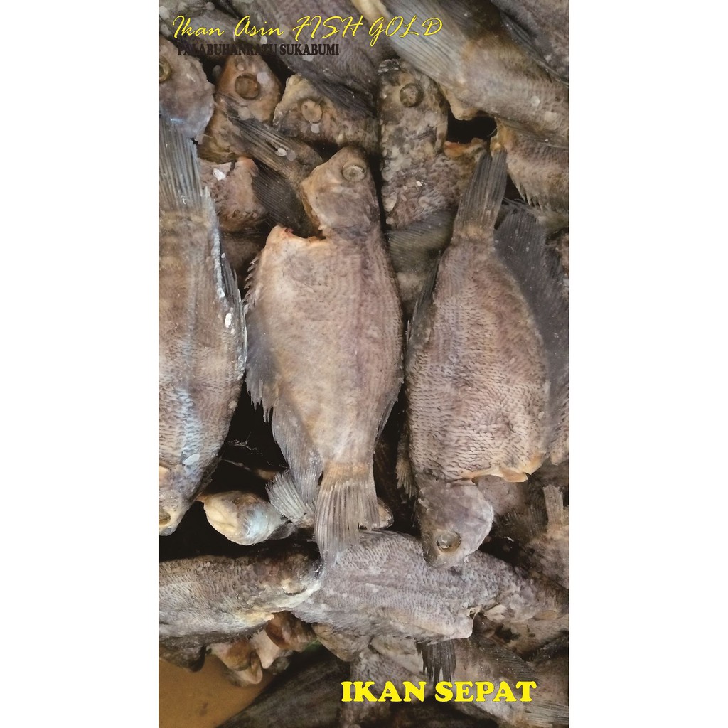 

IKAN ASIN SEPAT BESAR 500gr