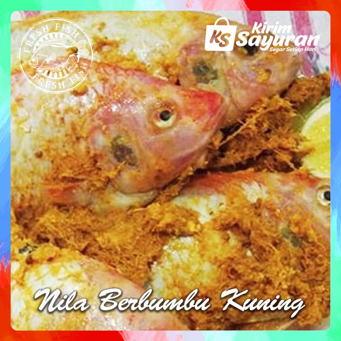 

Ikan Nila Segar Sudah Berbumbu Kuning / Bakar / Goreng (1kg)