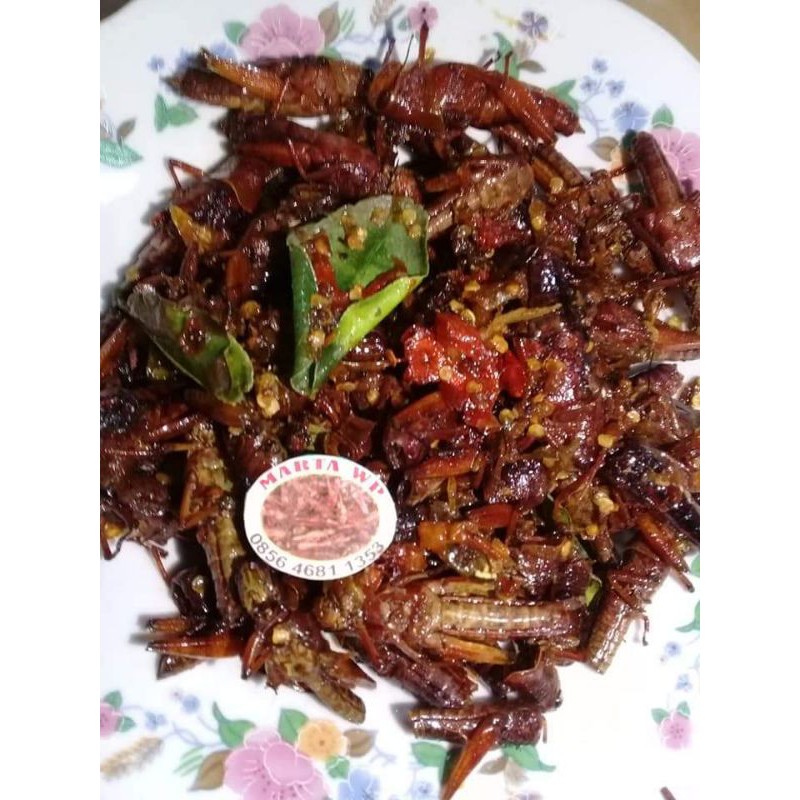 

Belalang Goreng Murah / Walang kayu goreng nikmat isi 100 gram