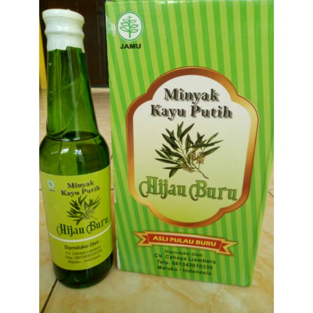 Minyak Kayu Putih Hijau Buru Asli 300 Ml Shopee Indonesia