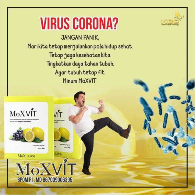 VITAMIN C  MOXVIT 4 kotak 230
