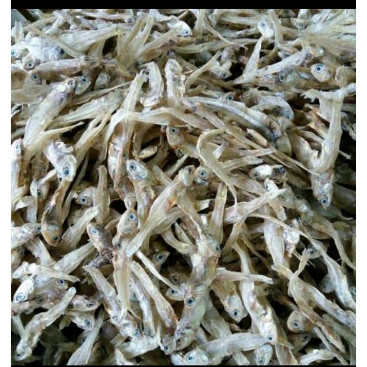 

Ikan Teri Tawar 100 gram