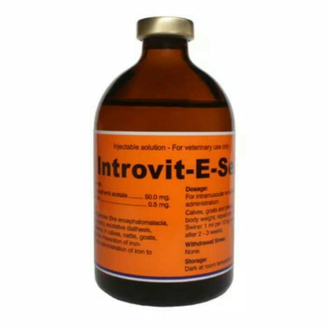 Vitamin Inject / Introvit E selen / Vitamin Bulu dan Kulitl