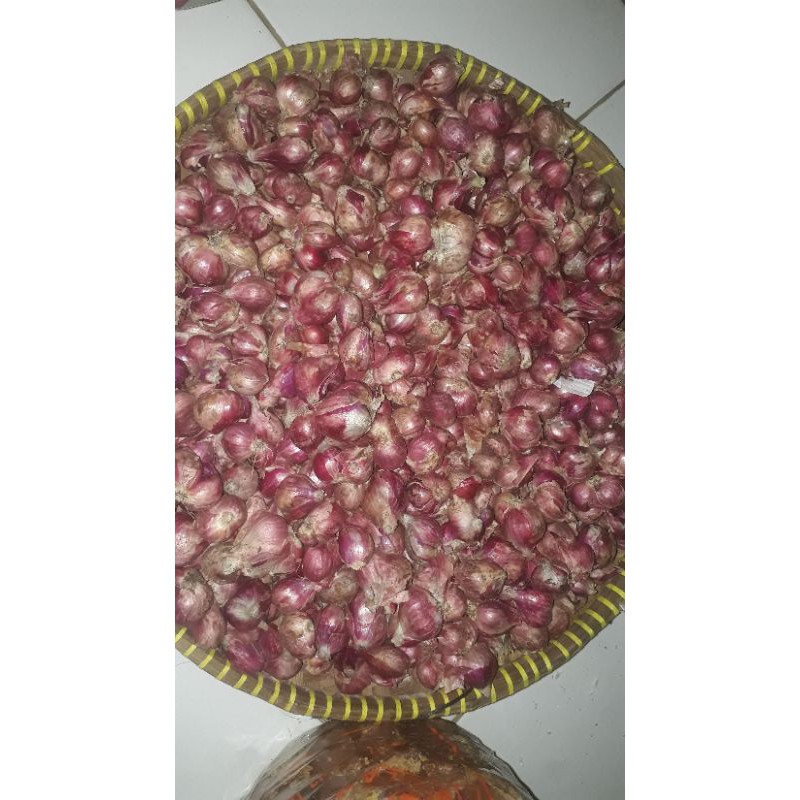 

bawang merah super 500 gr