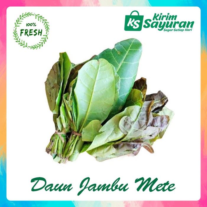 

Daun Jambu Mete Muda (ikat)