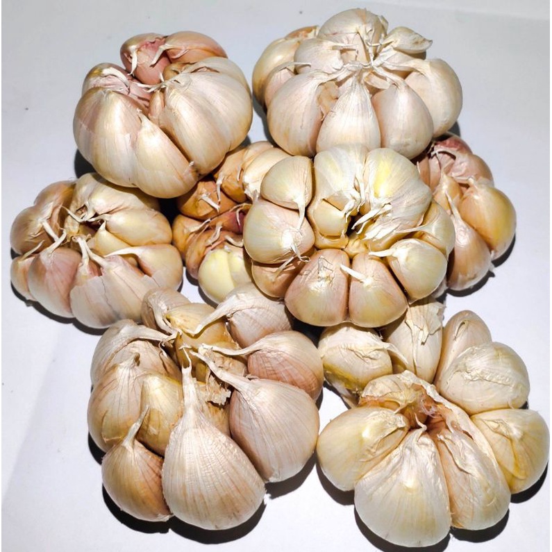 

Bawang putih bersih 1kg