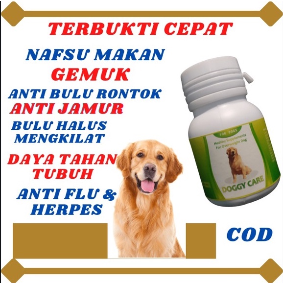 DOGGY CARE - VITAMIN PENGGEMUK ANJING PENAMBAH BERAT BADAN NAFSU MAKAN ANTI BODY VITAMIN ANJING