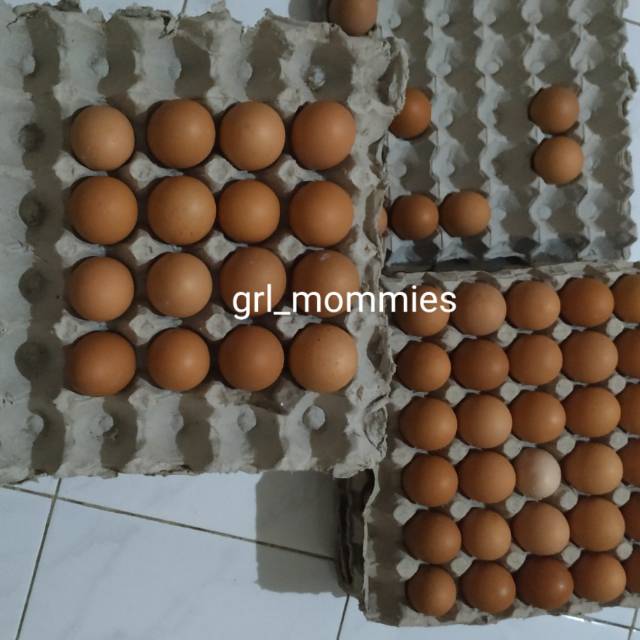 

Telur / telor ayam