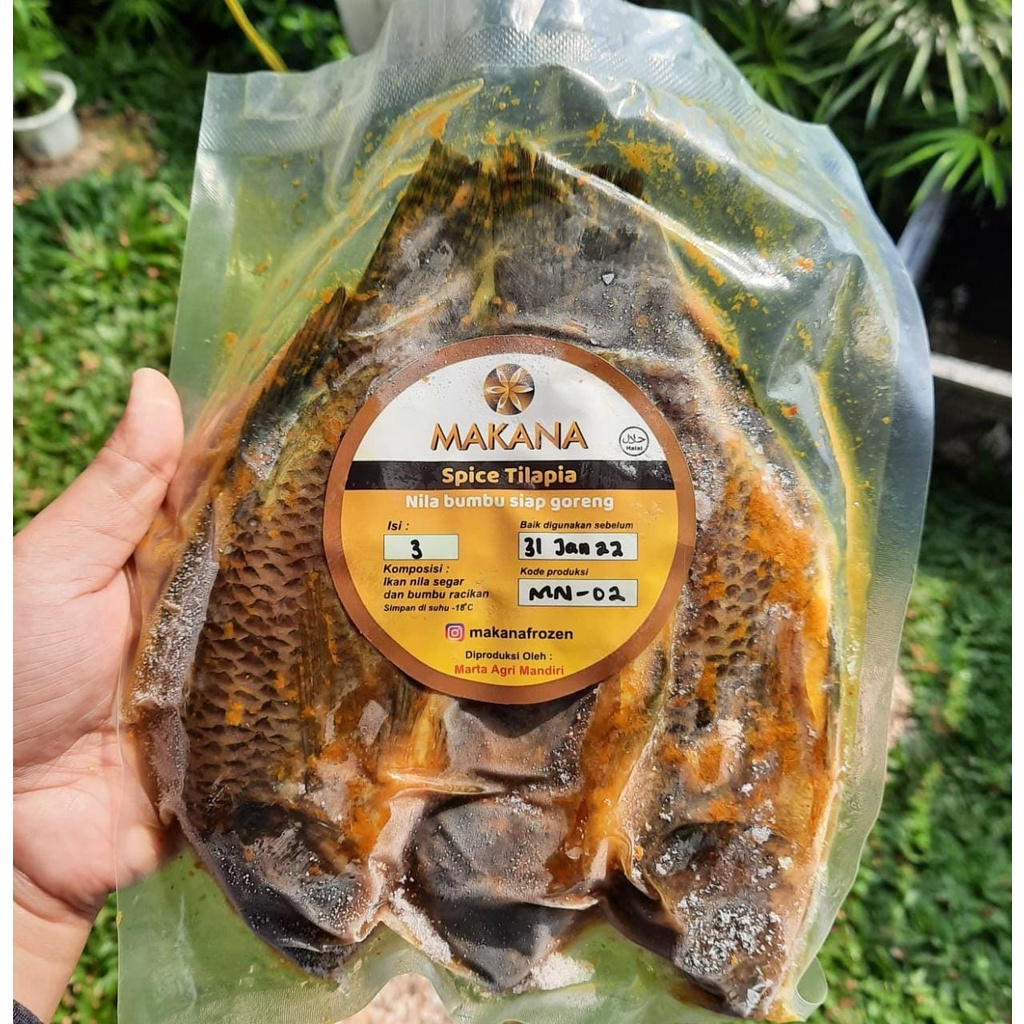 

Ikan Nila Bumbu Kuning Siap Goreng 500 Gr isi 3