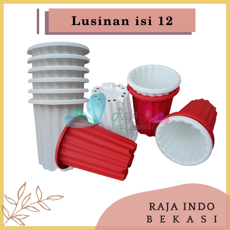 Lusinan 12pcs Pot Swiss 15 Putih Bening Transparan Hitam Merah Bata Merah Coklat Terracota Terracotta Mirip Lusinan Pot Yogap Ypt 10 13 15 Putih Coklat Merah Bata Bening Transparan Pot Yogap 17 18 19 Pot Yogap Murah Pot Bunga Tinggi Pirus Tegak Tebal