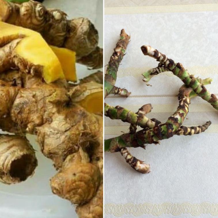 

Serba Murah PAKET 250 GRAM BANGLE DAN DRINGO / DLINGO / JERINGAU Z7E