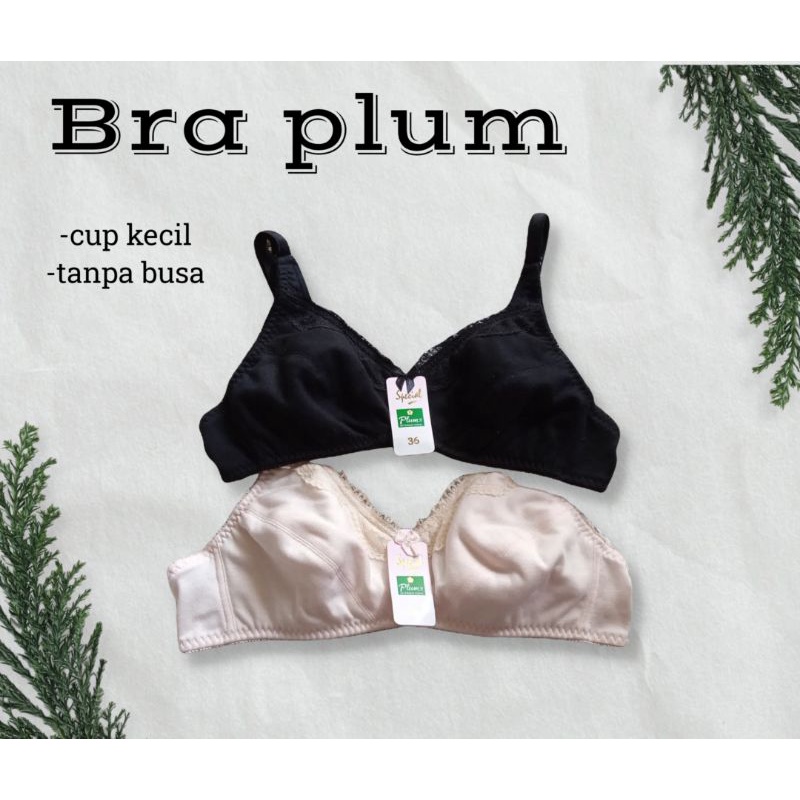Bra plum kecil