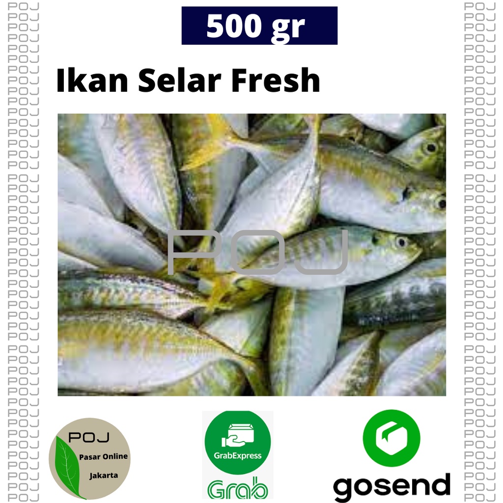 

Ikan Selar Segar 500 gr✓Ikan Selar✓Ikan✓Ikan Segar✓Selar Kuning POJ pasaronlinejakarta