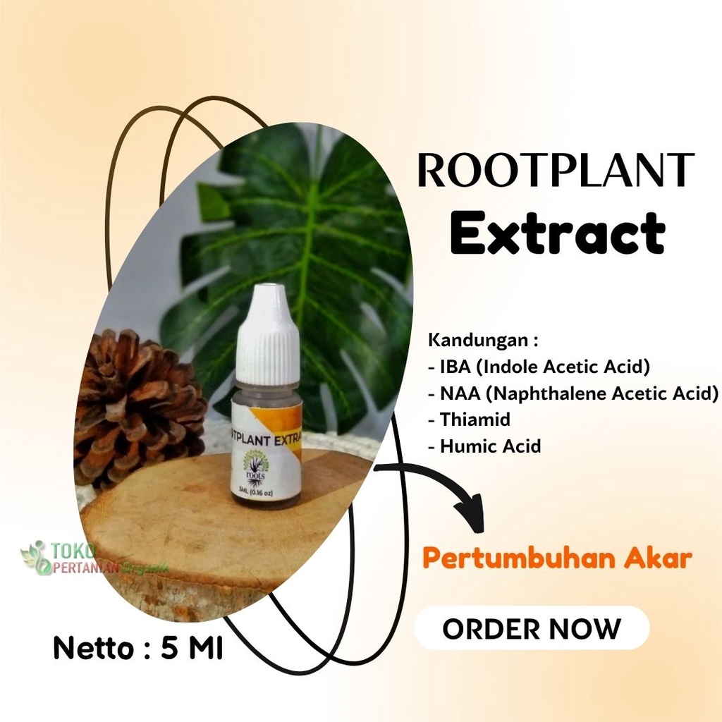 Pupuk tanaman buah agar cepat berbuah, ROOTPLANT Hormon pertumbuhan bunga wijaya kusuma