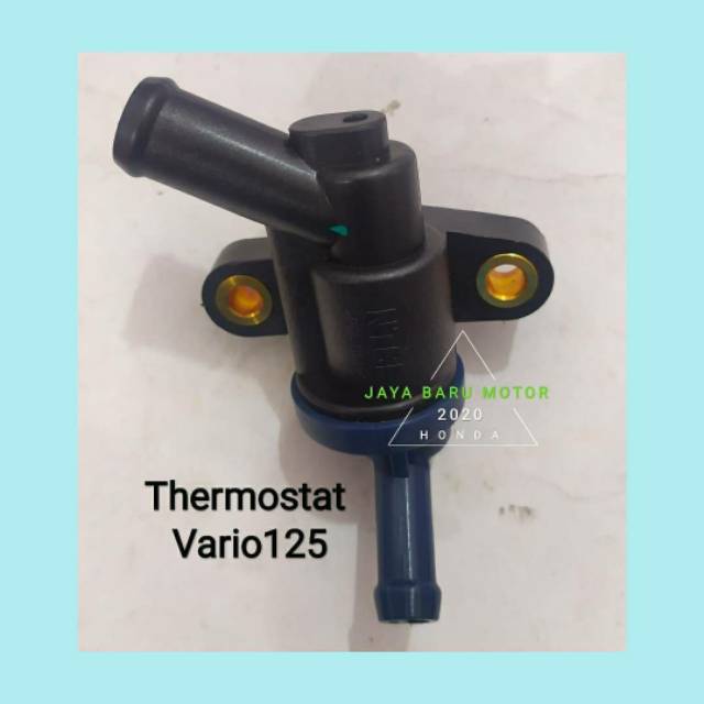 Thermostat Assy Vario125FI
