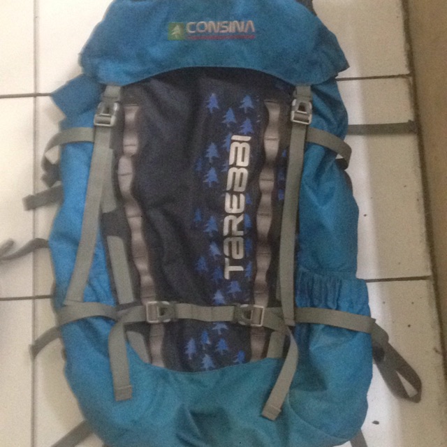 Cariel consina TAREBI 60l