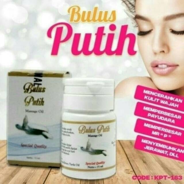 MINYAK BULUS PUTIH BPOM ORIGINAL - MASSAGE OIL / MENGENCANGKAN PAYUDARA SECARA ALAMI