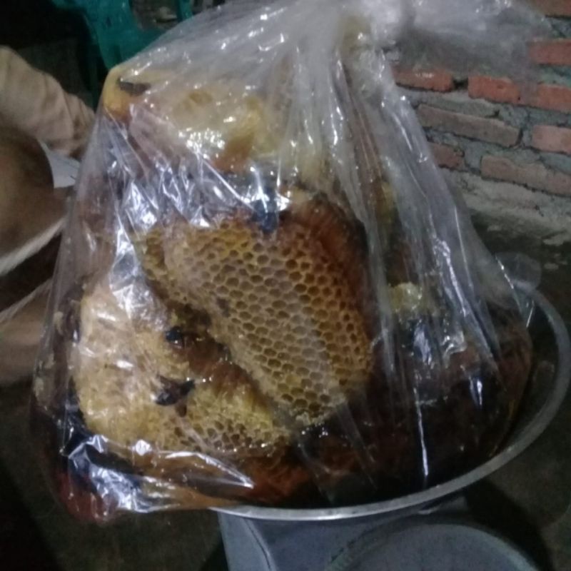 

Madu tawon hutan liar 100% asli tanpa campuran