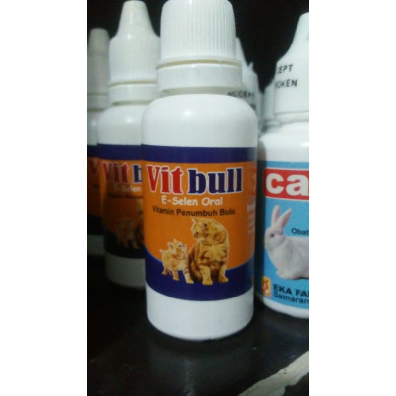 Vitbull vitamin bulu kelinci