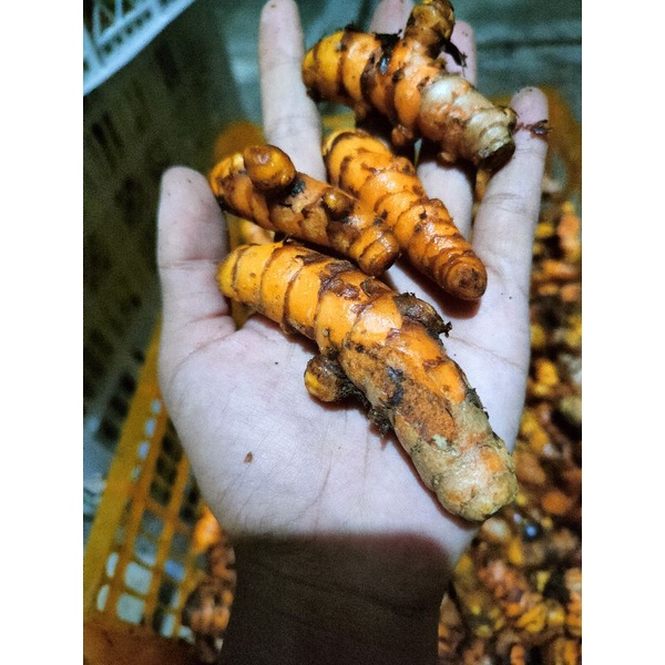 

bumbu dapur base base kunyit kuning kunir murah