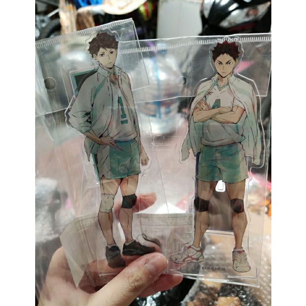 Standee Ani-Art Iwaizumi Oikawa