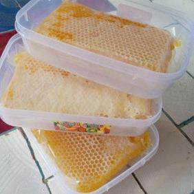 

(kode-491) Bonus sendok kayu - 250 gr MADU SARANG ASLI - MADU ASLI - MELIFERA KUNING - MADU MURNI