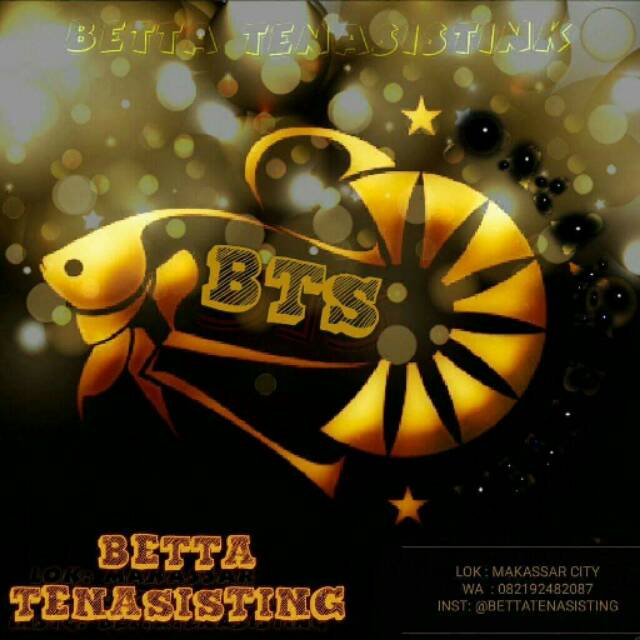bettatenasistink