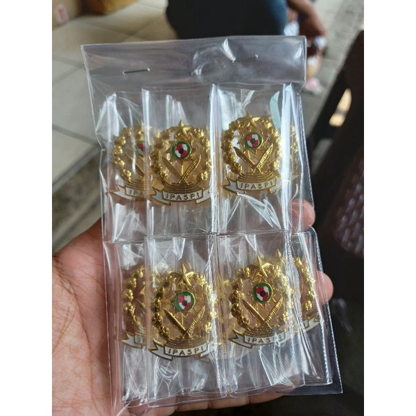 Pin/Lencana IPASPI