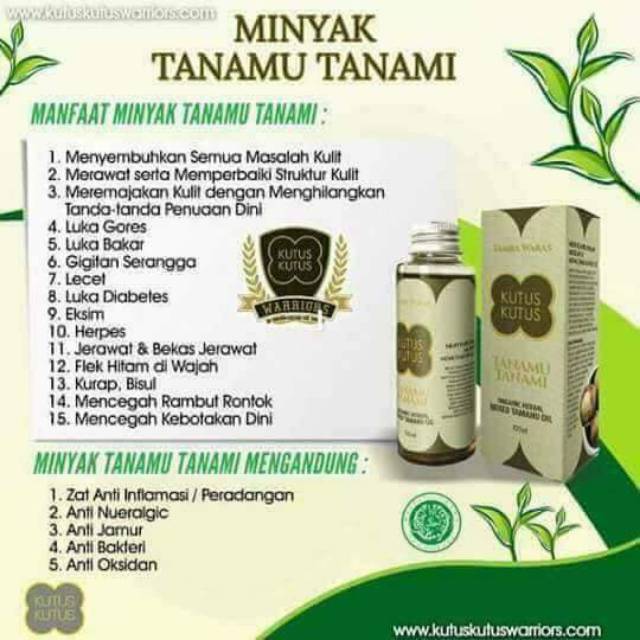 

Minyak Tanamu Tanami