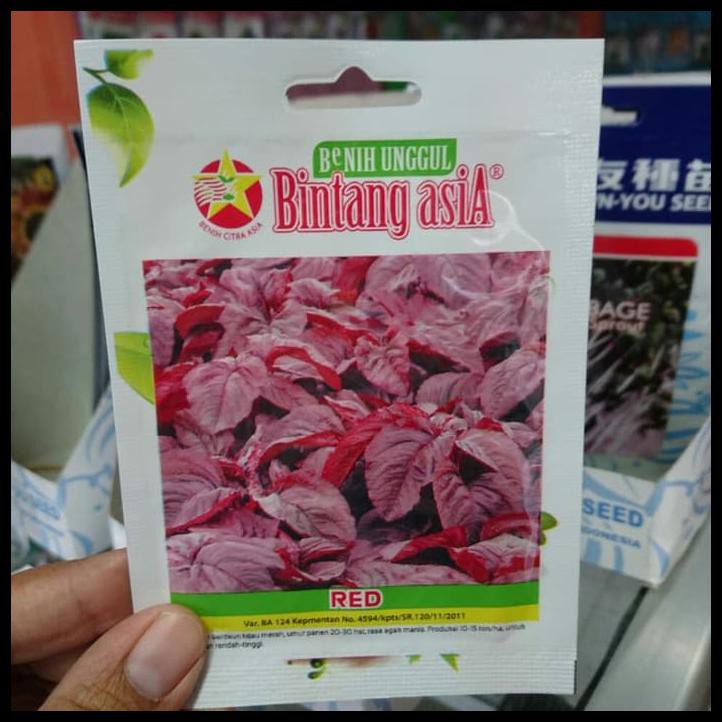ISI 4000 BENIH BAYAM MERAH BINTANG ASIA