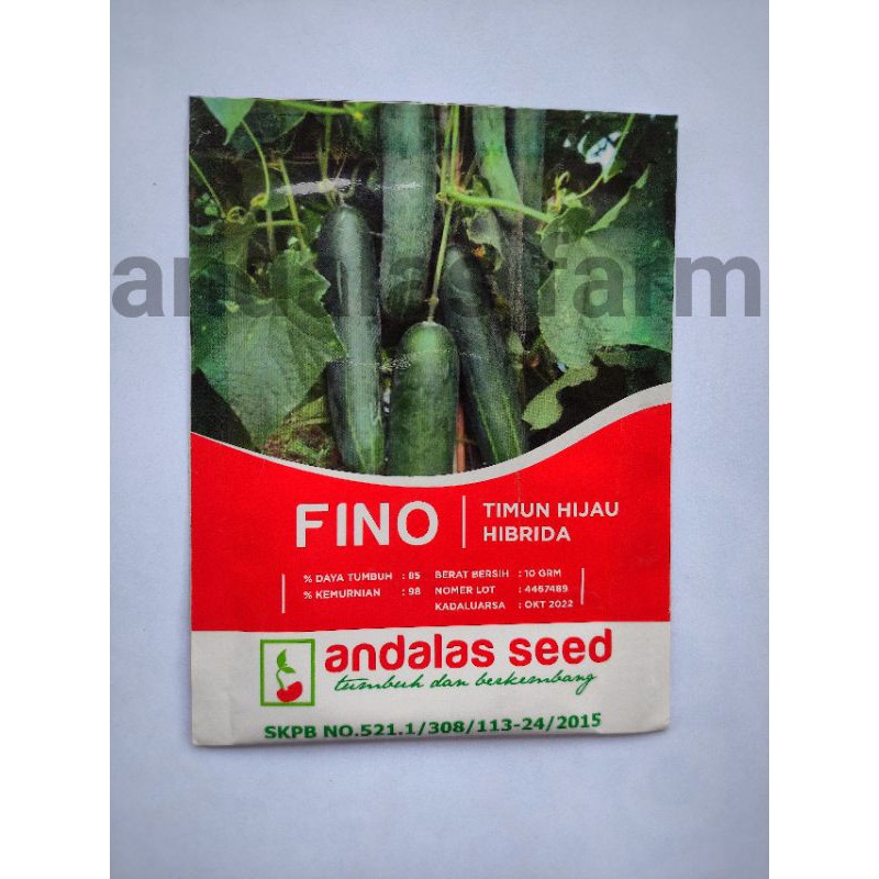 

Benih Timun FINO (timun hijau hibrida)