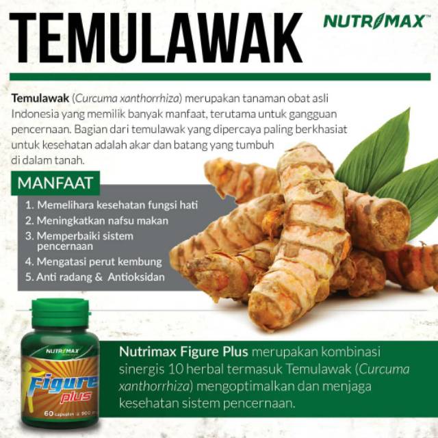 NUTRIMAX FIGURE PLUS / SUPPLEMENT UNTUK NAFSU MAKAN