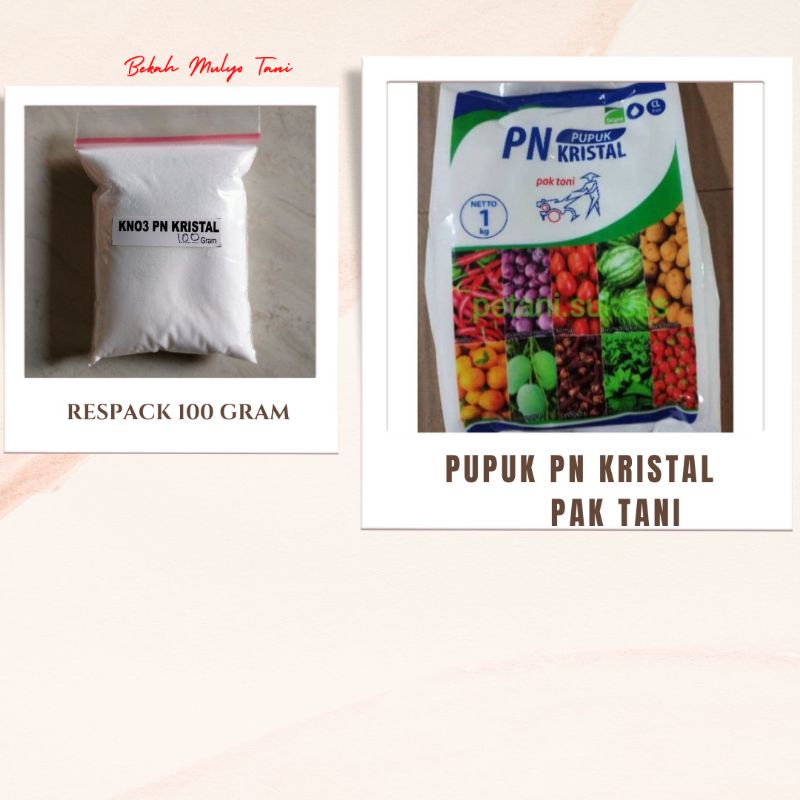 PUPUK  PN KRISTAL POTASSIUM NITRAT REPACK 100GRAM