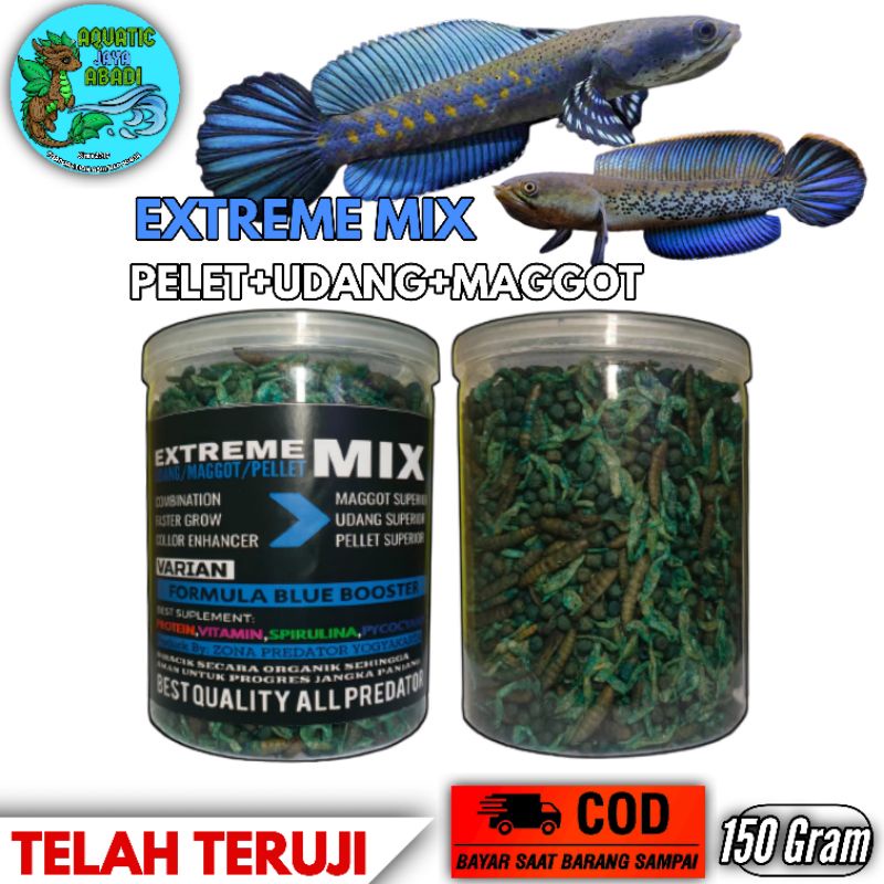 Pakan Channa Pulchra(Extreme Mix)Blue pigment 150 Gram