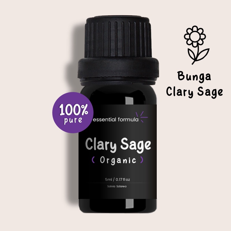 Organic Clary Sage Essential Oil Bunga Clary Sage Murni 100%