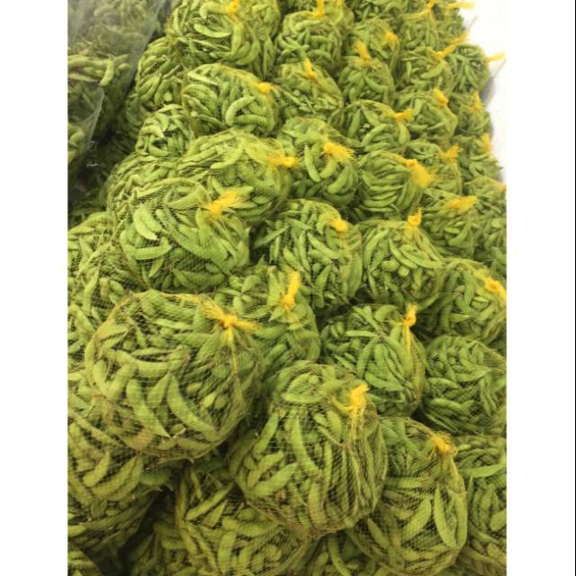 

Edamame Fresh Bandung