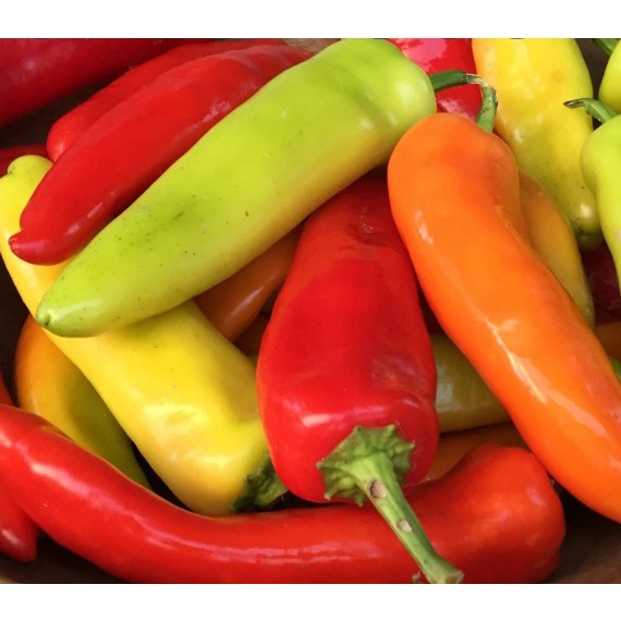Benih Cabai HOT BANANA cabai besar