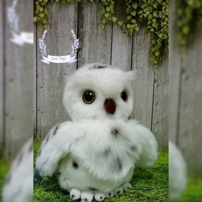 5600 Koleksi Gambar Burung Imut HD Terbaik