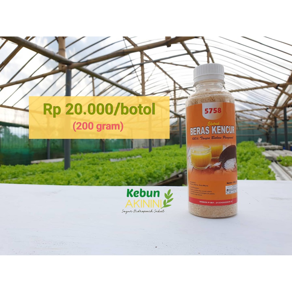 

BERAS KENCUR BUBUK 200 gr - Produk UKM Lokal 100% Tanpa Bahan Pengawet