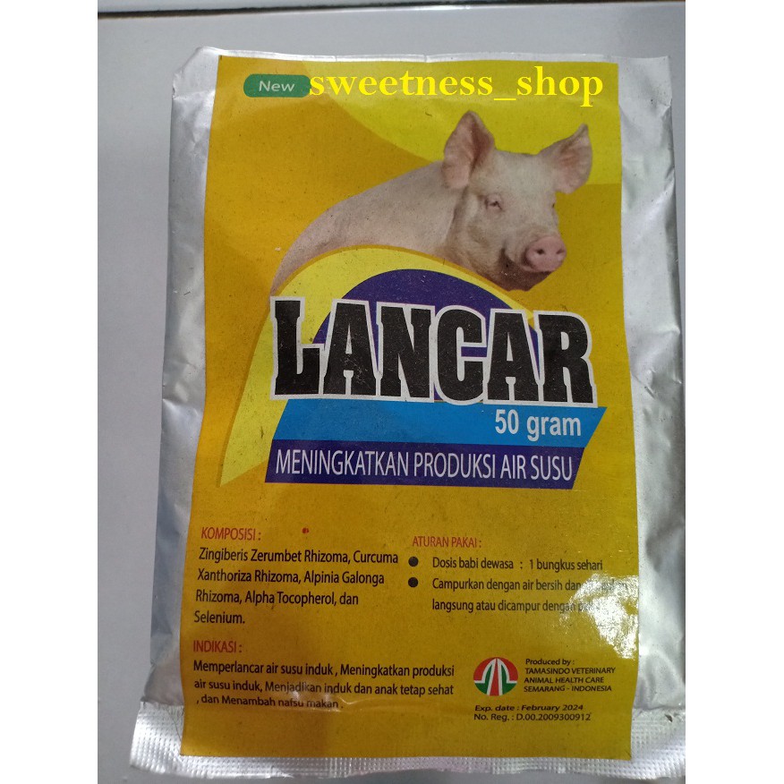 Lancar Babi  jamu meningkatkan produksi air susu induk babi