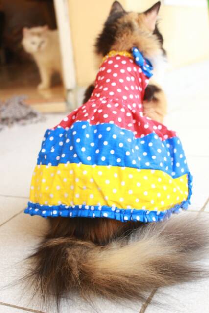 Dress polkadot pelangi untuk kucing dan anjing / baju kucing murah meriah size S M L XL