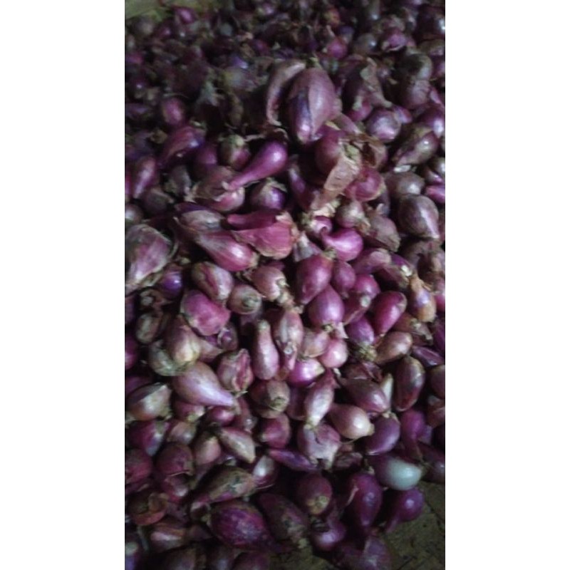 

bawang merah