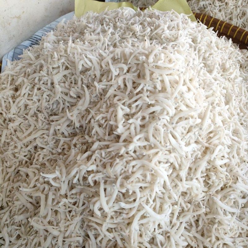 

teri halus medan