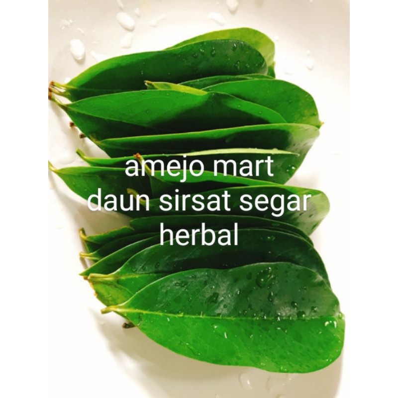 

DAUN SIRSAT HERBAL